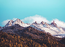 带球被断后维尼修斯边摊手边说着些什么，然后才投入比赛